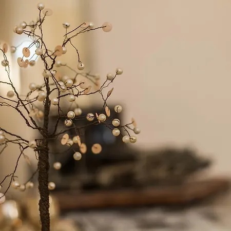 Apartment Cavallieri Rhodes City